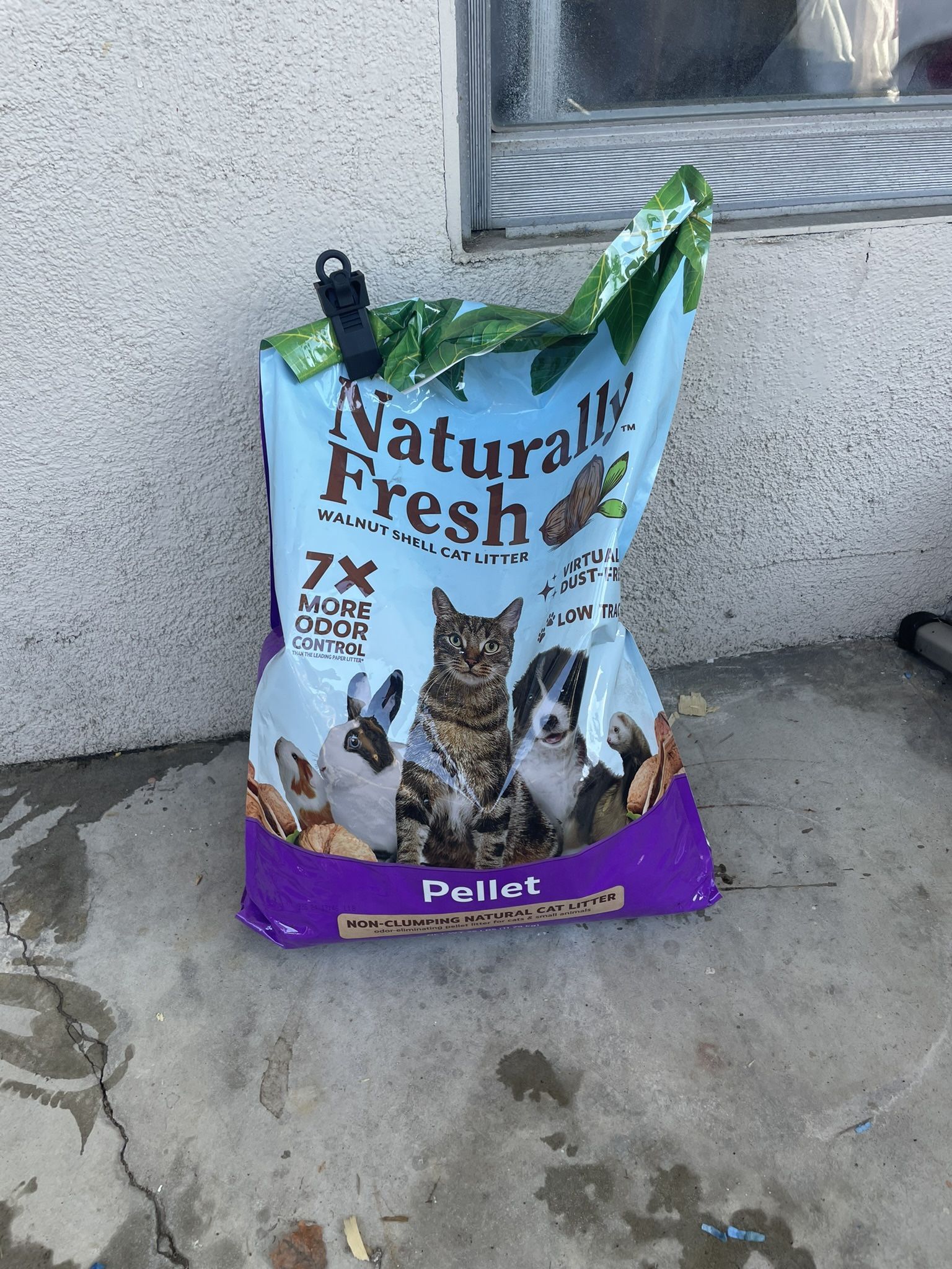 Cat Litter