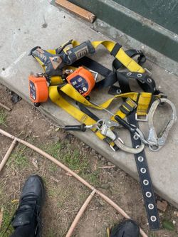 Harness