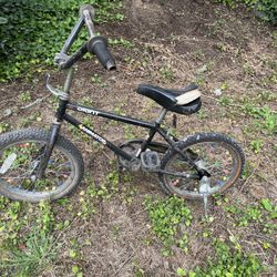 Giant Animator Kids Bike