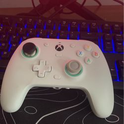 Xbox Pro Controller 