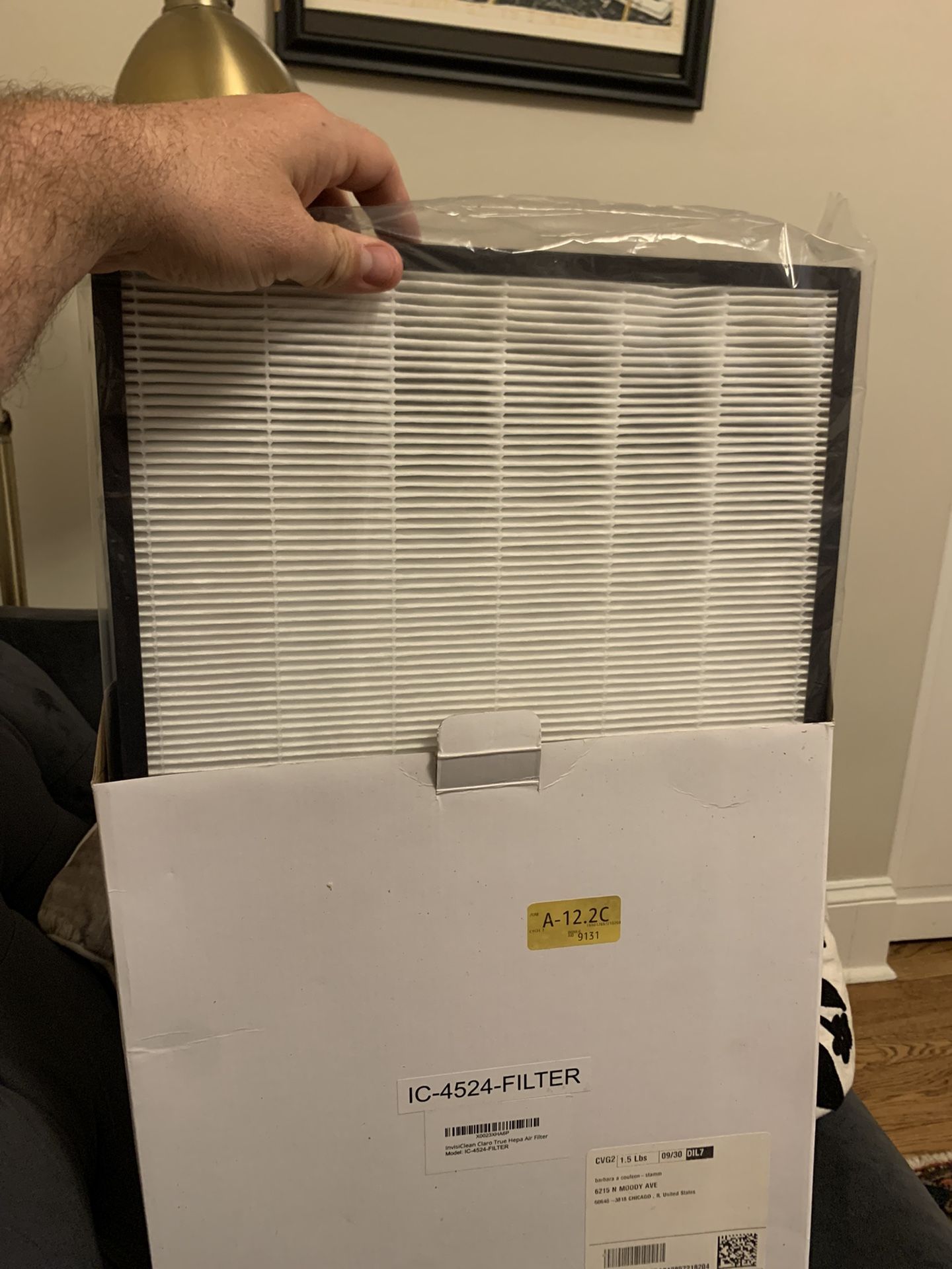 HEPA Filter (IC-4524-FILTER) For InvisiClean Claro Air Purifier