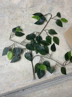 Greenery