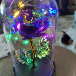 Beautiful Mother's Day Bears With Fairy Lights In A Glass Dome