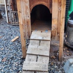 Dog House And A Dog Gloo