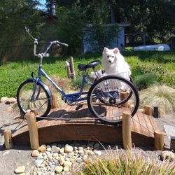 Miami Sun Traditional Trike