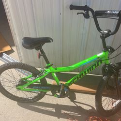 20 Inch Bike Schwinn Green $90