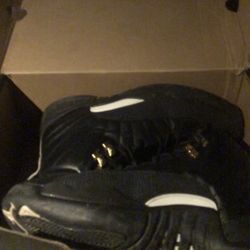 Jordan 12 