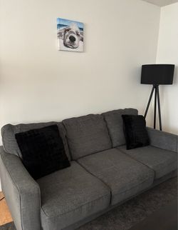 Lightly used IKEA sleeper sofa