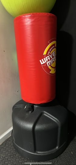 Punching Kicking Bag