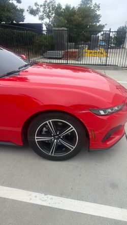 2024 ecoboost Mustang driver side fender
