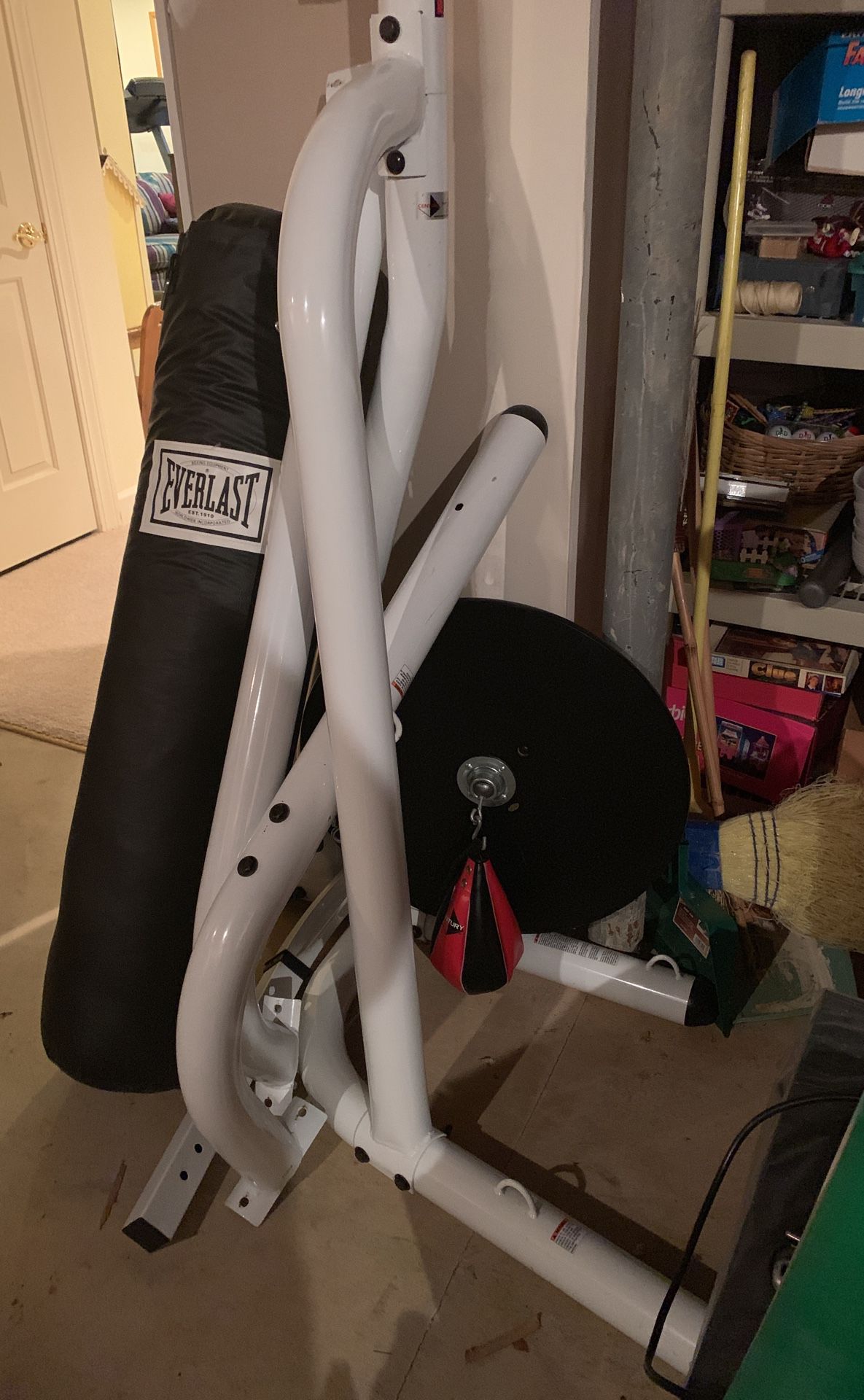 Everlast Heavy 100# Punching Bag, Century Stand and Speed Bag