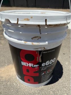 BEHR EXTERIOR PAINT 5gal - flat brown