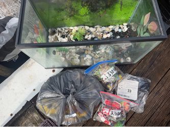 fish tank with pebbles
