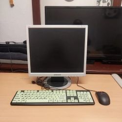 Samsung  Monitor   +   USB  Keyboard   +   USB  Mouse