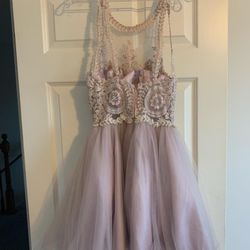 Homecoming/Prom Dress 
