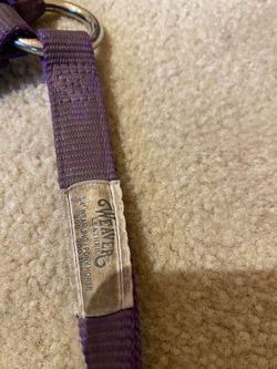 Weaver 3/4 weanling/pony adjustable halter with snap