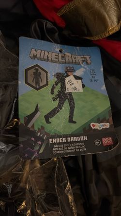 Minecraft Costume