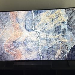 65 Inch Samsung TV + BOSE Speaker