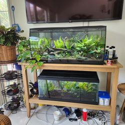 Complete Aquarium Seup