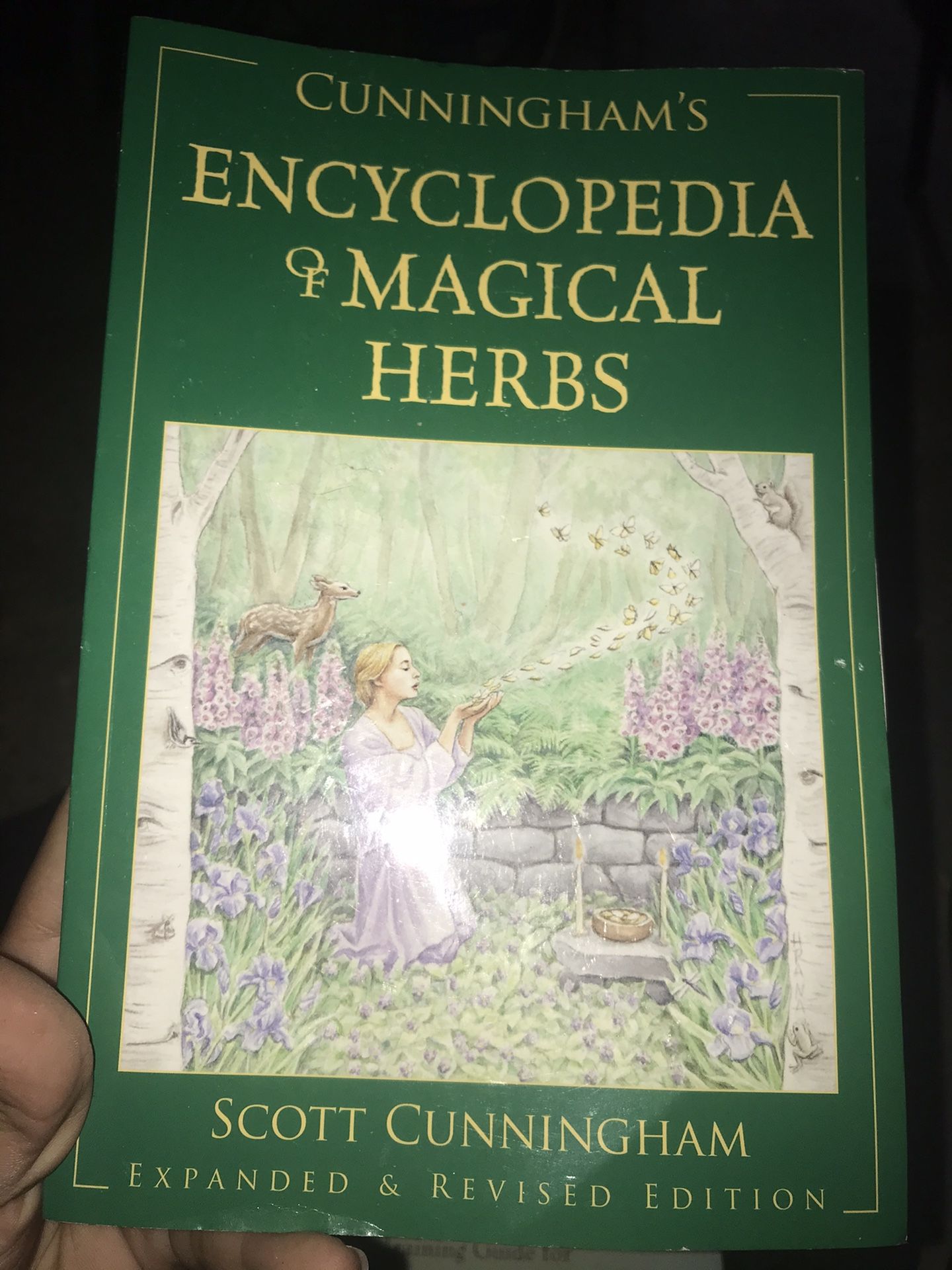 Magical herb book