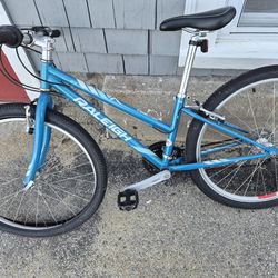 RALEIGH EVA 26' 21 SPEED MOUNTAIN BIKE.