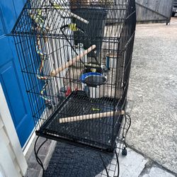 Birdcage I’ve only had it for four weeks. It’s almost brand new