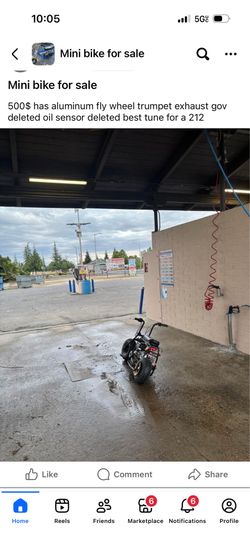 Mini bike doodle bug