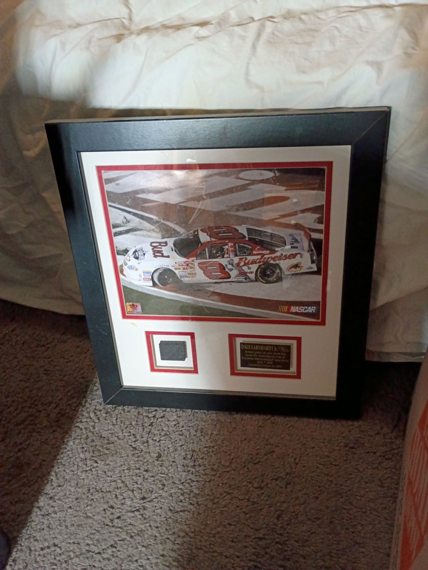 Dale Jr Daytona speedway