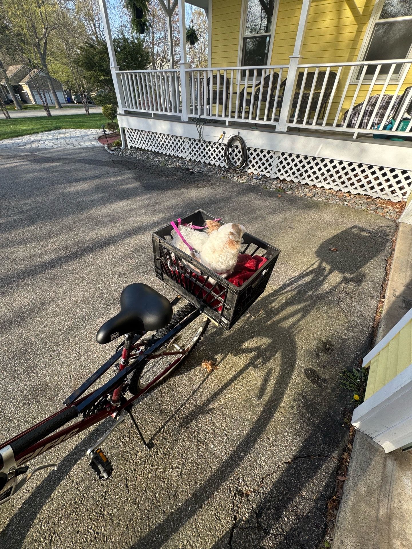 Original legend pacific bike with homemade cargo basket