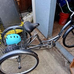 Schwinn Trike