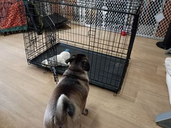 X large kennel and crate, large kennel, medium kennel, medium collapsible kennel