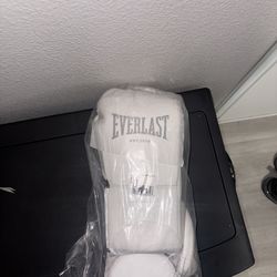 Everlast professional boxing gloves