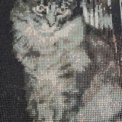 Cat Diamond Dot Picture 