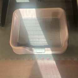 Indoor puppy Potty 