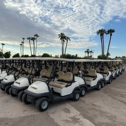 Wholesale Fleet of 2023 Gas Club Car Precedent Golf Carts