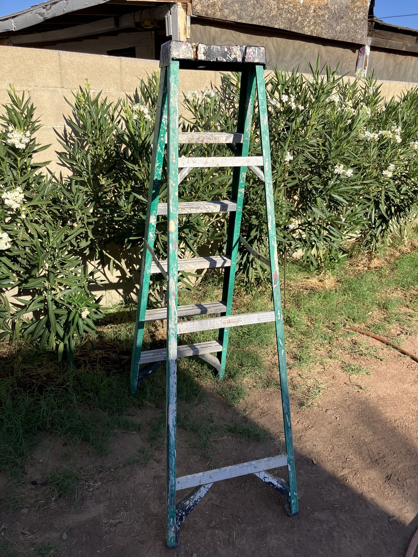 6 Ft Fiberglass Werner Ladder