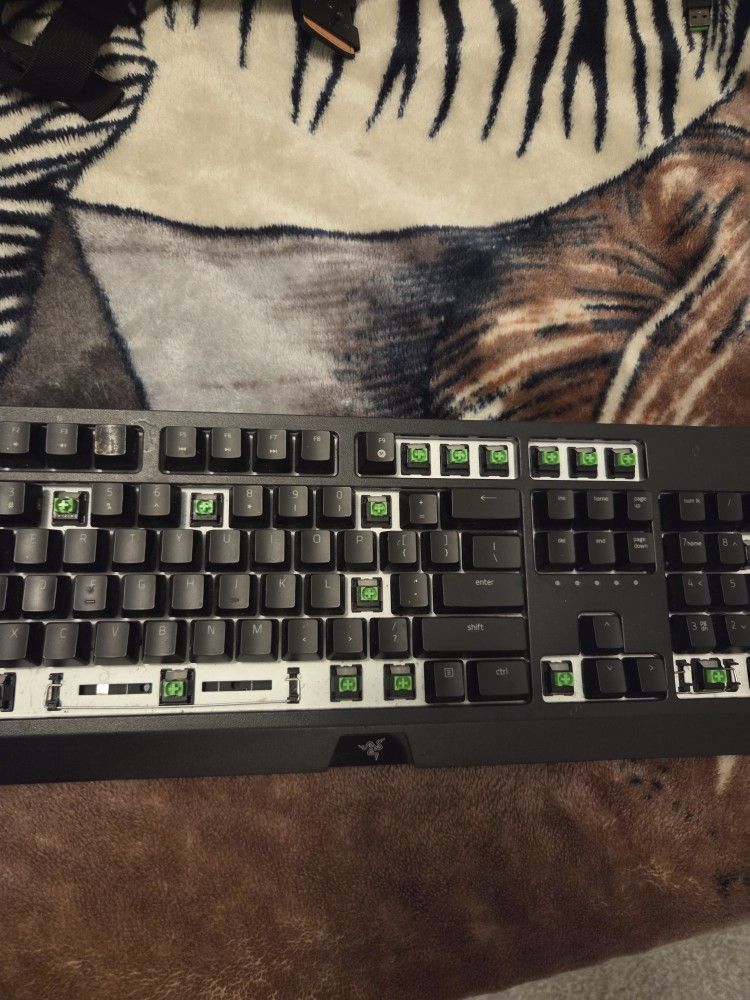 Stripped Razor Blackwidow mechanical Keyboard
