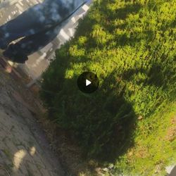  Hola ando buscando travajo se de jardineria si alguien esta nesesitando una limpiesa porfavor dejenme saver oj