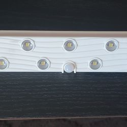 Adjustable Motion Sensor Light