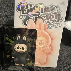 Labubu Big Energy Secret 