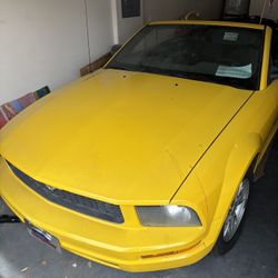 2005 Mustang v6 