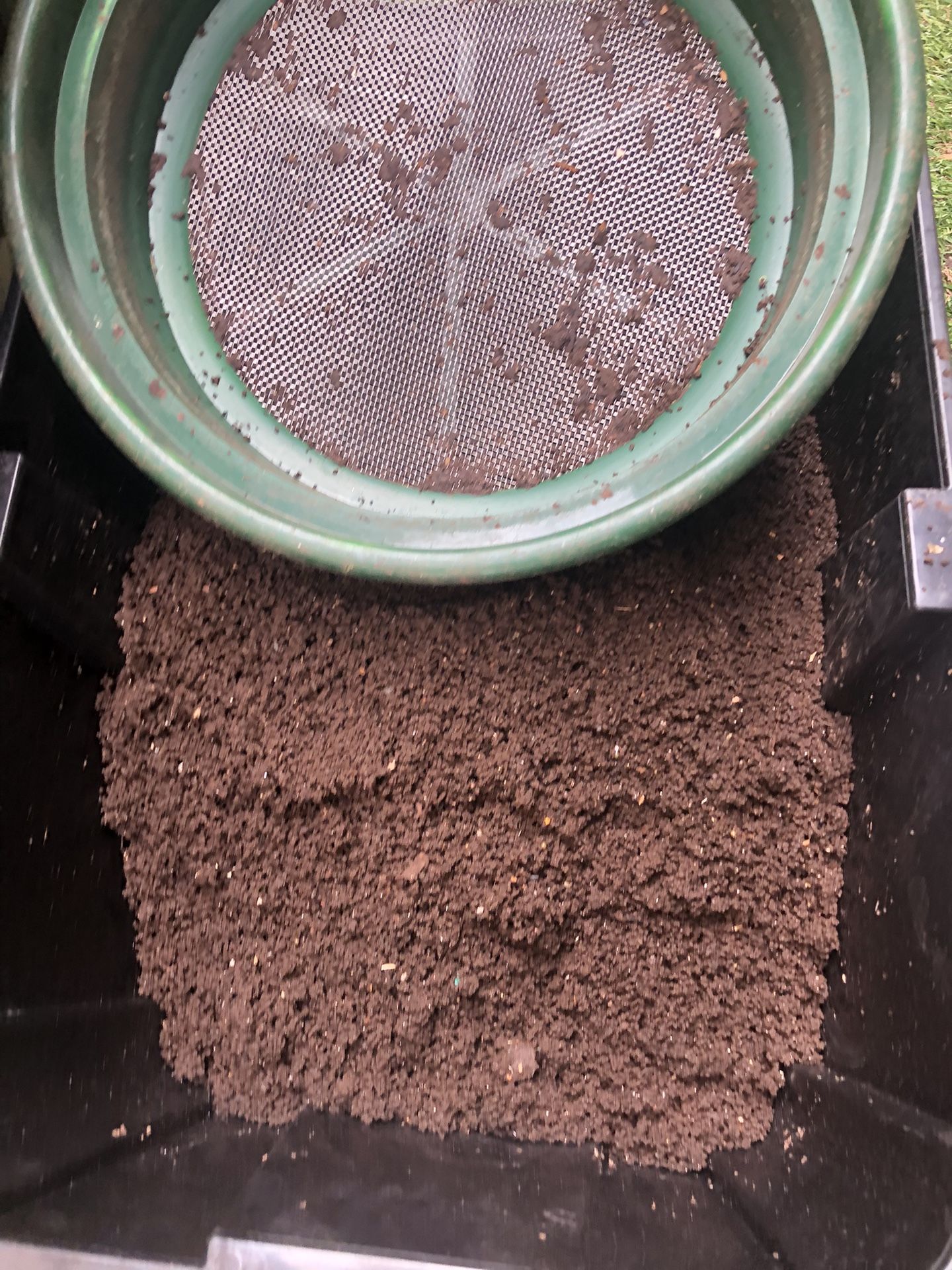 Red Wiggler Composting Worms Fresh Castings