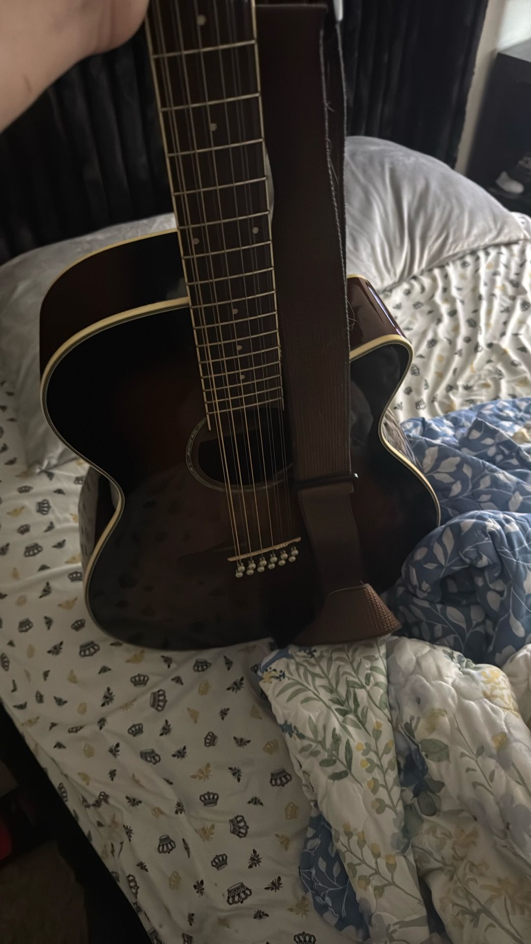 Ibanez 12 String guitar