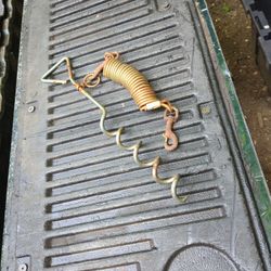 Small Dog Anchor 