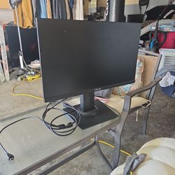 Asus Monitor 
