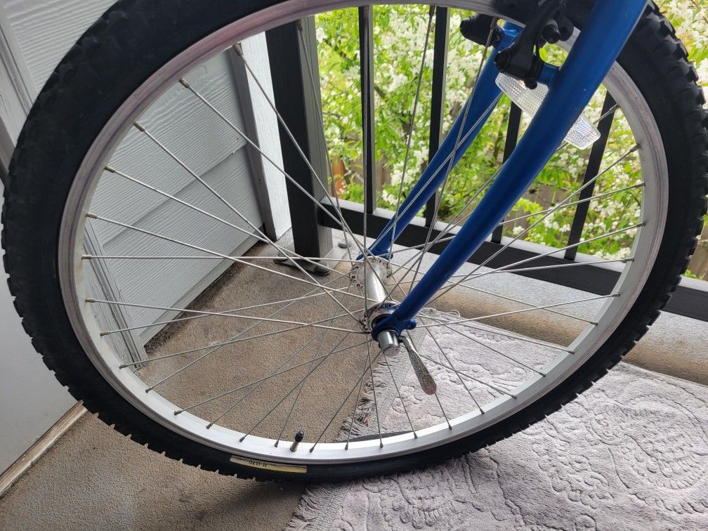 Trek Mountain Bike