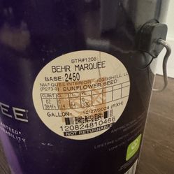 Yellow Interior Paint