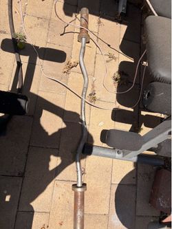 Ez curl bar