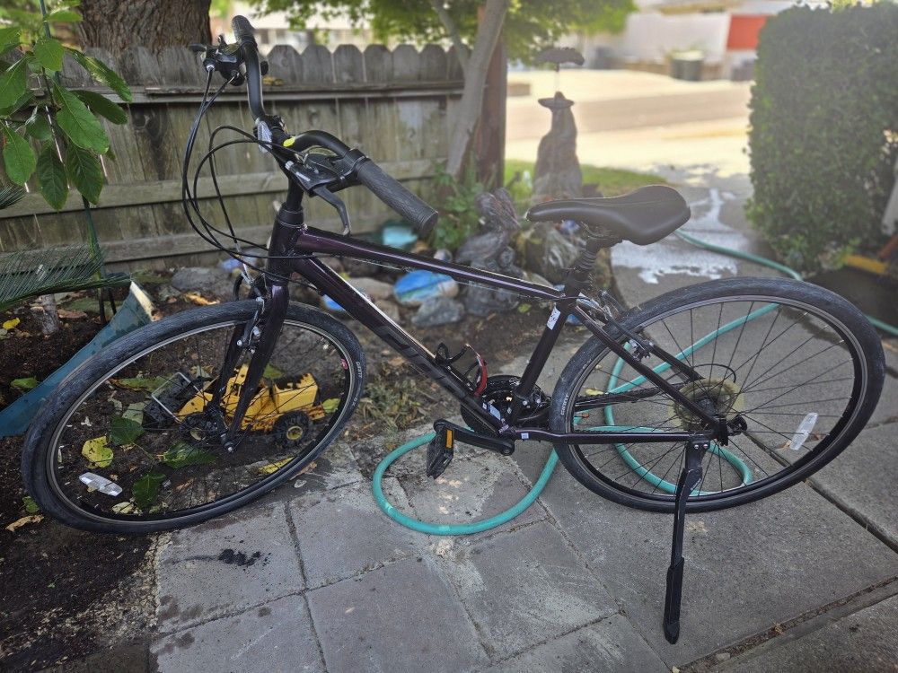 Giant Escape Disc 2 Bike