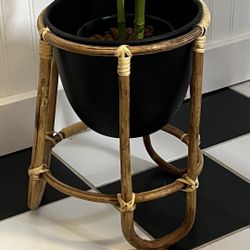 Plant Pot